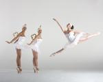 Clockwork Ballerina Dolls dance